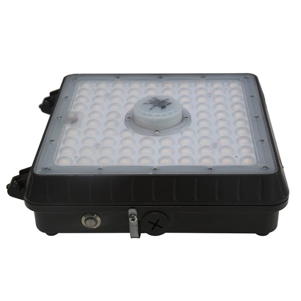 LED GARAGE LIGHT&CANOPY LIGHT