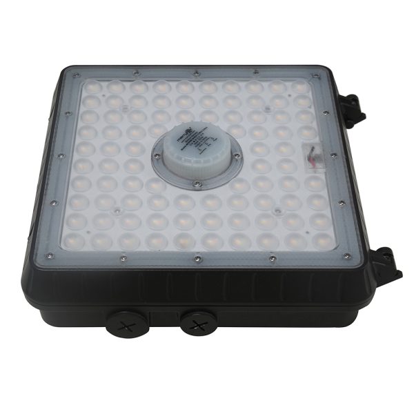 LED GARAGE LIGHT&CANOPY LIGHT